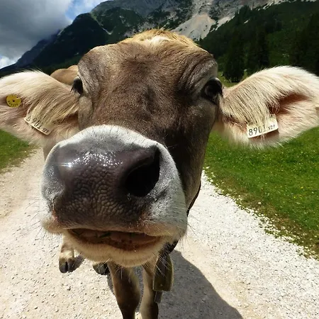 Happy Trails, Cosy One Garten * Oberau (Garmisch-Partenkirchen)