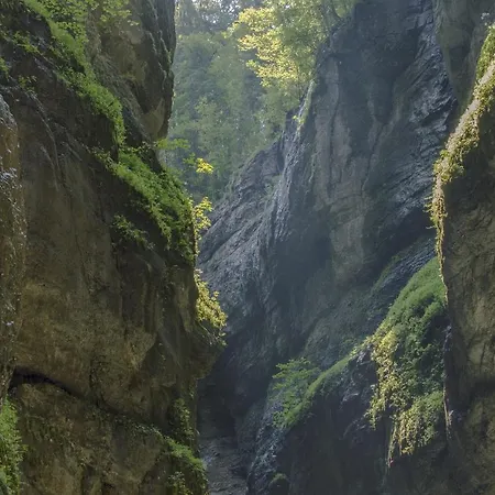 Happy Trails, Cosy One Garten * Oberau (Garmisch-Partenkirchen)