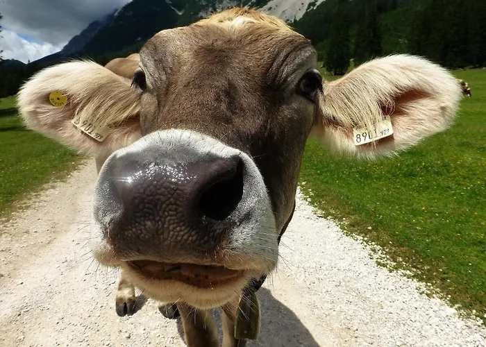 Happy Trails, Cosy One Garten * Oberau (Garmisch-Partenkirchen)